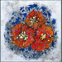 Lichens 2