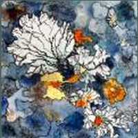 Lichens